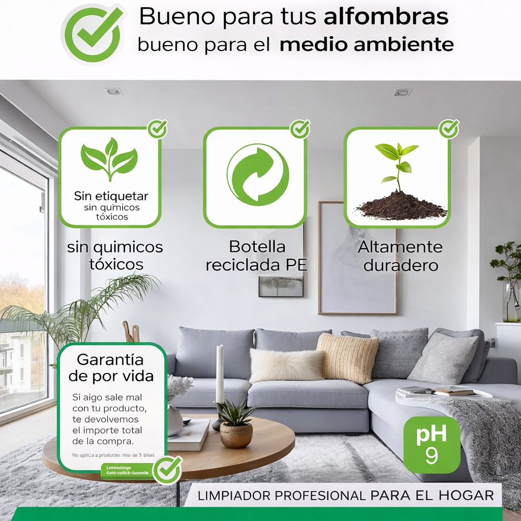 BiOHY Limpiador de alfombra para aspiradoras en húmedo