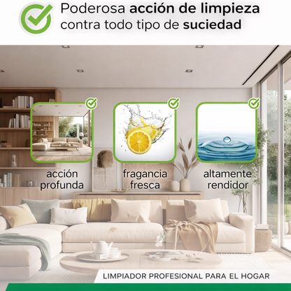 BiOHY Limpiador de alfombra para aspiradoras en húmedo